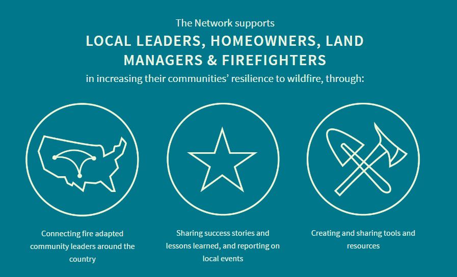 an image with no alt text